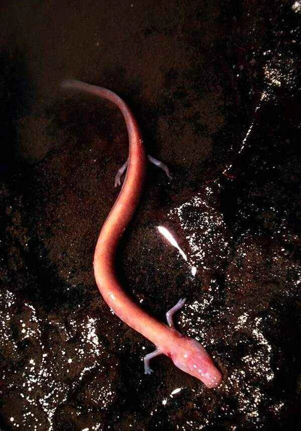 2024120273041867.jpg 2.jpg