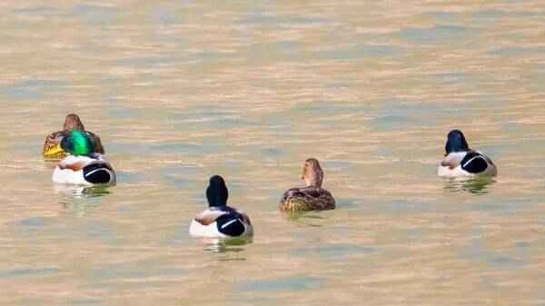 2023011622530845.jpg 1_九雷图片转换器.jpg