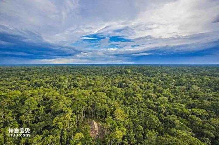 2023032436073144.jpg 8.jpg