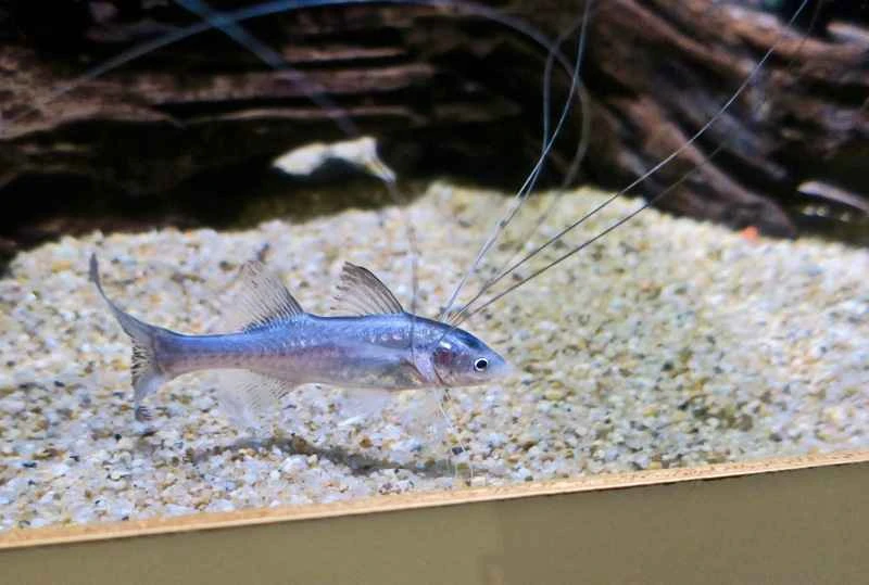 2024091810481589.jpg 2.jpg