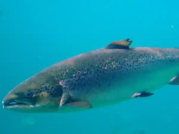 2025082540057523.webp 4.webp