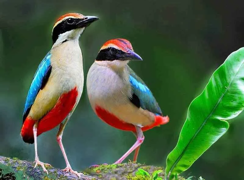 2025031015142065.jpg 3.jpg