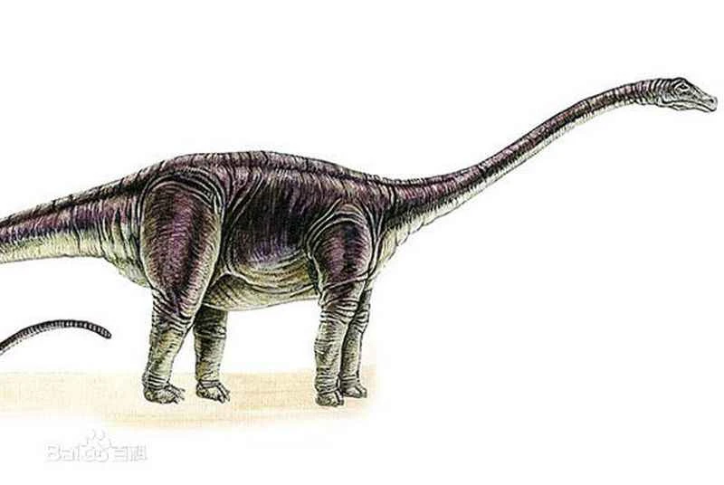 1670220704119801.jpg 5.jpg