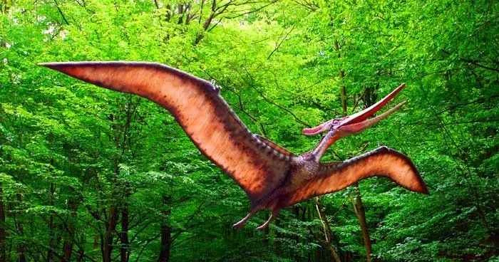 There were actually no flying dinosaurs; we've been mistaken about that all along.