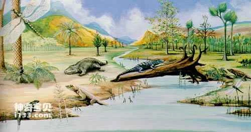 How did insects evolve their wings?