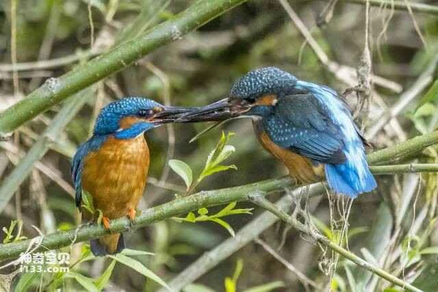 2023060416967191.jpg 9.jpg