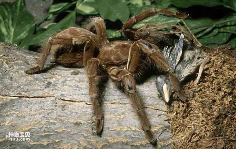 2023032413171327.jpg 屏幕快照 2023-03-24 下午6.06.12.jpg