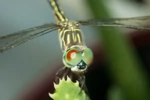 2025082856790455.webp 5.webp