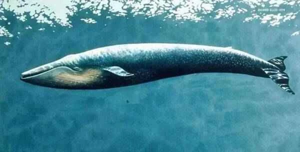 2022121525932740.jpg 3_九雷图片转换器.jpg