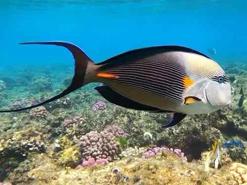 c465d2342b08a7294f9a6a9779f896ad (1).jpg