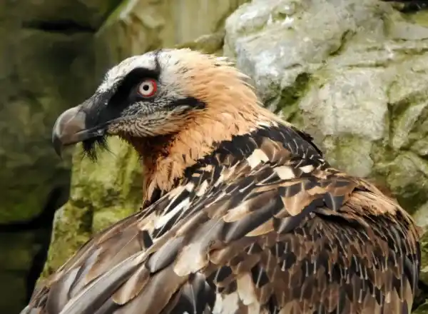 2025072813366715.webp 3.webp