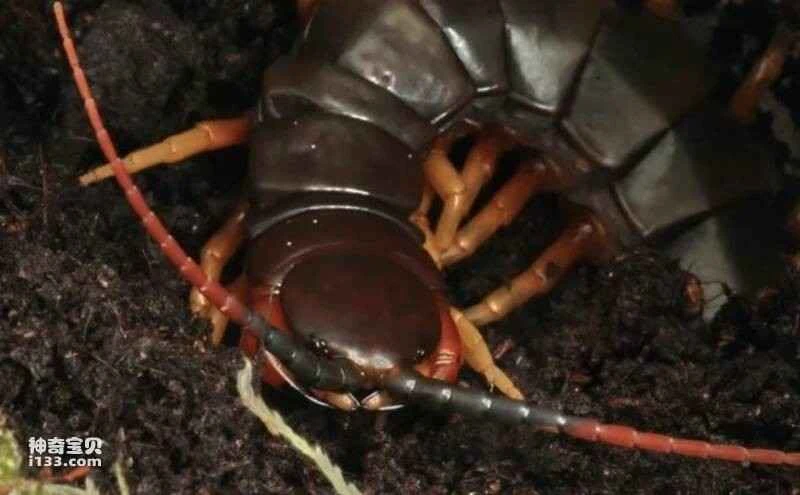 2023032418179241.jpg 屏幕快照 2023-03-24 下午6.06.43.jpg