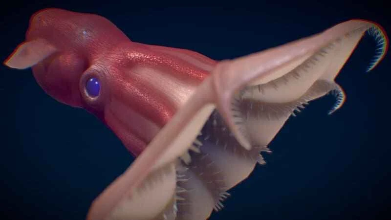 2025042513781791.jpeg 88.jpeg