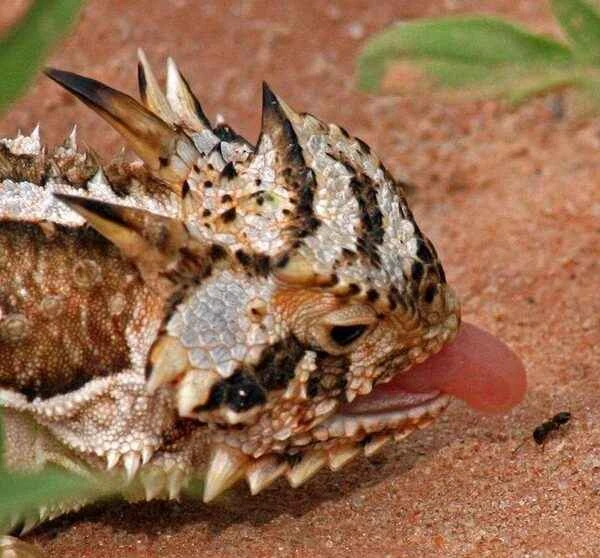 2024112359144797.jpg 20.jpg