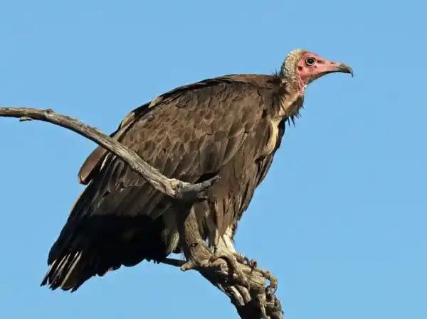 2025072882245648.webp 6.webp