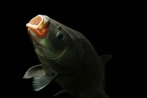 2024111411170152.jpg 4.jpg