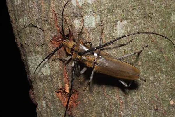 2024042621409023.jpeg 10.jpeg