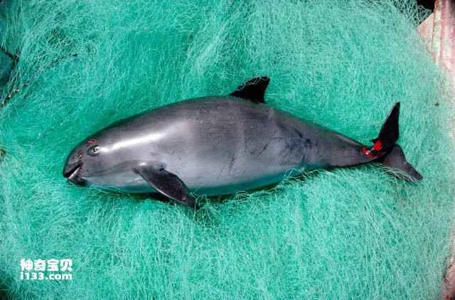 2023053012850633.jpg 2.jpg