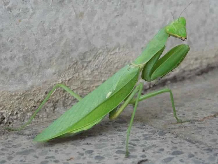 2025101319761649.jpg 2.jpg