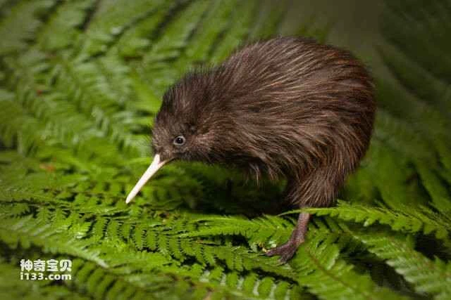 2023050516054950.jpg 10.jpg