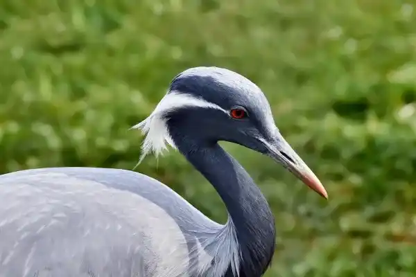 2025123148055843.webp 12.webp