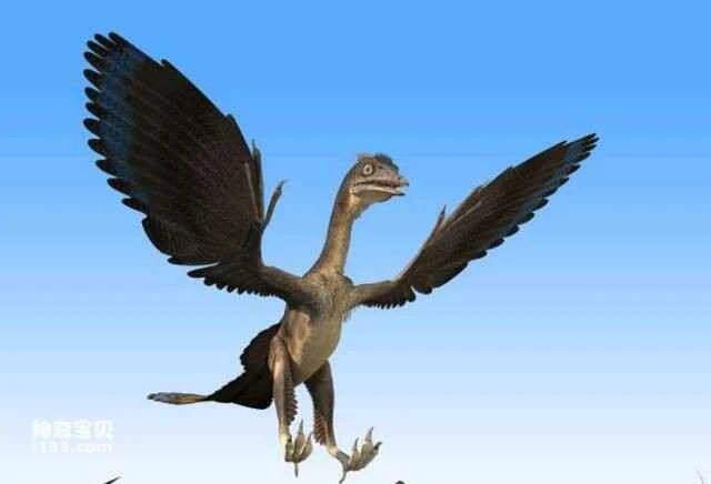New evidence that birds are not descended from dinosaurs