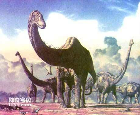The Zhenlong was the largest dinosaur (its body was as big as a football field).