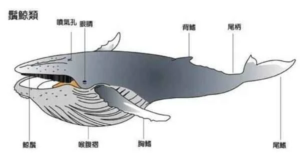 2022121517134825.jpg 2_九雷图片转换器.jpg