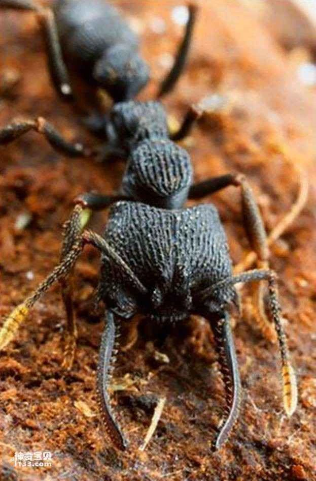 2023032465660624.jpg 5.jpg