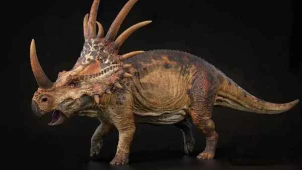 The dinosaur with the largest skull in the world: Triceratops