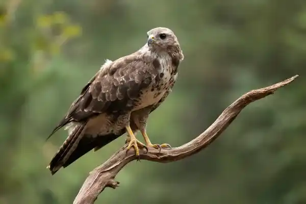 2025083017442092.webp 13.webp