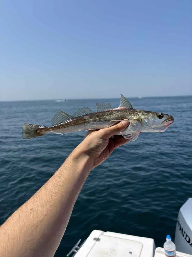 2025022796736309.jpeg 101.jpeg