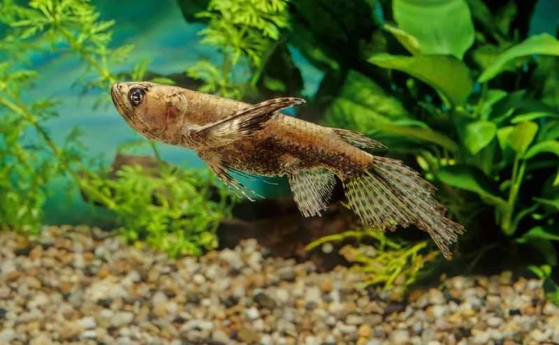 2024091811312240.jpeg 8.jpeg