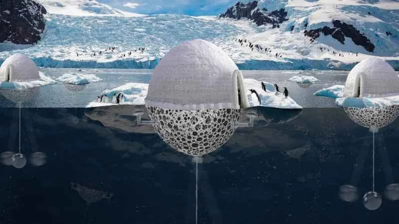 2023011761711269.jpg 8.jpg