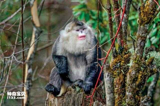 2023042070462388.jpg 2.jpg