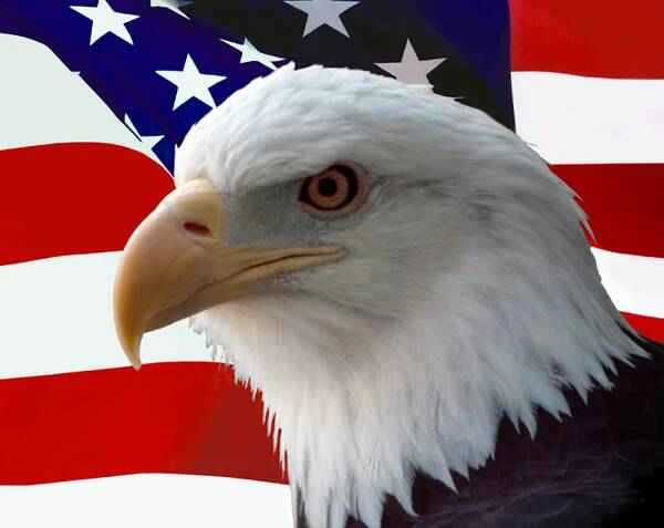 2023011910614680.jpg 3_九雷图片转换器.jpg