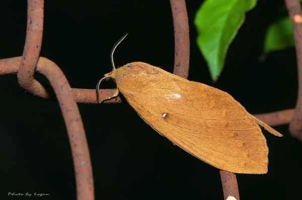 2024042685713570.jpeg 5.jpeg