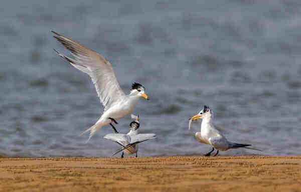 1661653587187358.jpg 5b4eef1469bb5ad04e2ae6be51975d94_九雷图片转换器.jpg