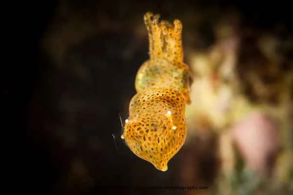 2024102213071085.jpg 4.jpg