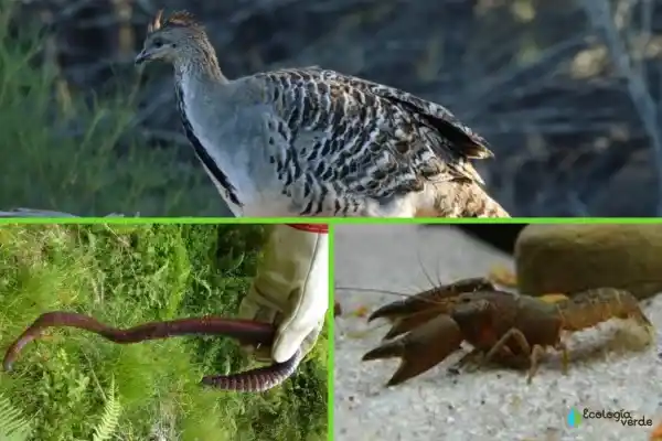 2025073088229296.webp 10.webp