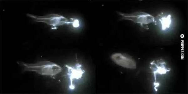 2024091878541382.jpg 77.jpg