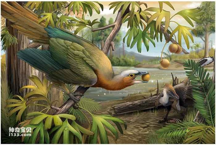 How do birds survive mass extinction events?