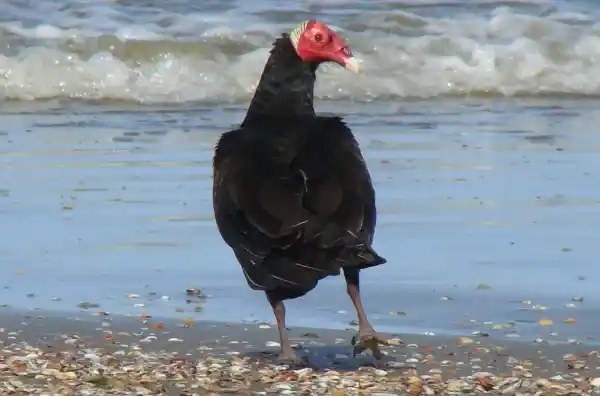 2025072874598504.webp 9.webp