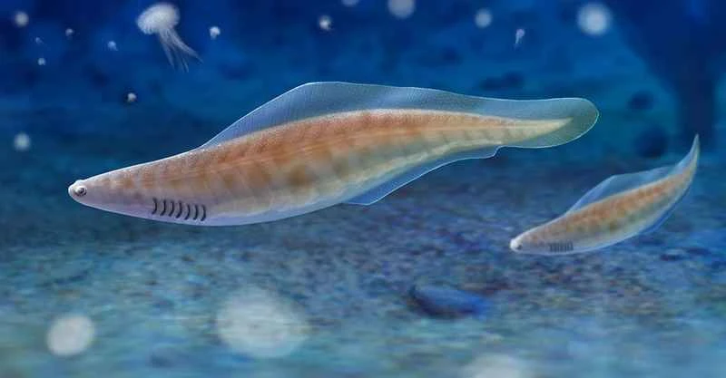 The world's top ten surviving prehistoric fish