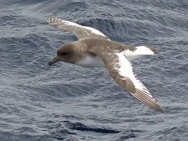 2025080517318835.webp 11.webp