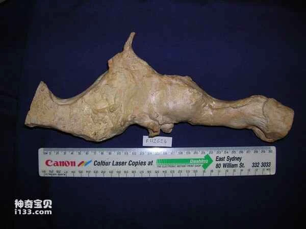 2024012610571527.jpg 7.jpg