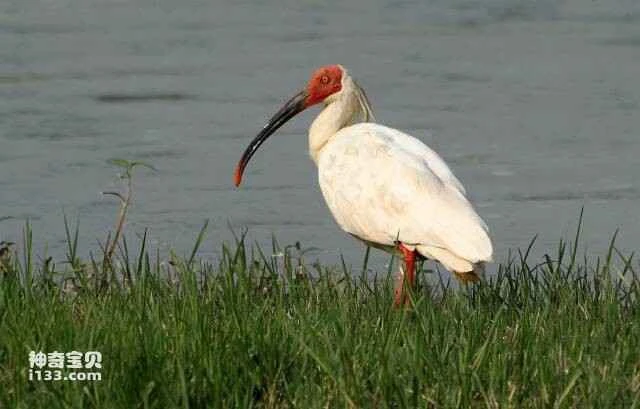 2023050540862370.jpg 2.jpg