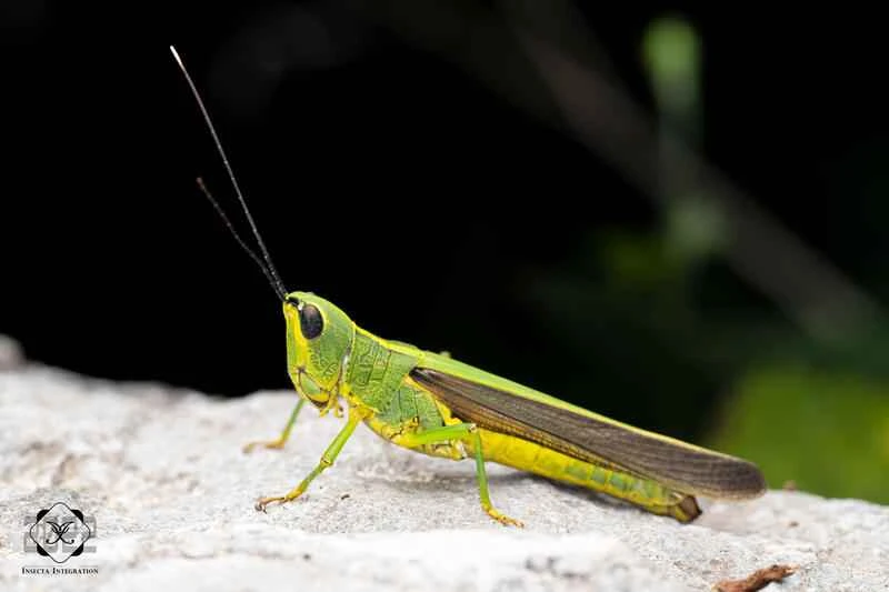 2025011311950758.jpg 66.jpg