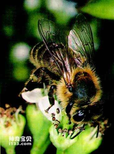 The relationship between organisms and the environment