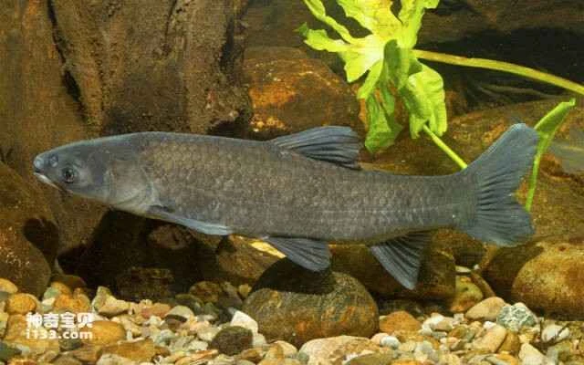 2023051616818045.jpg 4.jpg